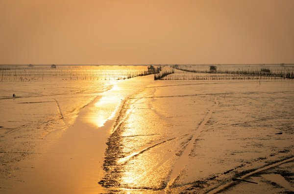 Quels sont les meilleurs conseils pour une randonnée dans les montagnes de la Cordillère des Andes, Argentine : équipements et itinéraires ?