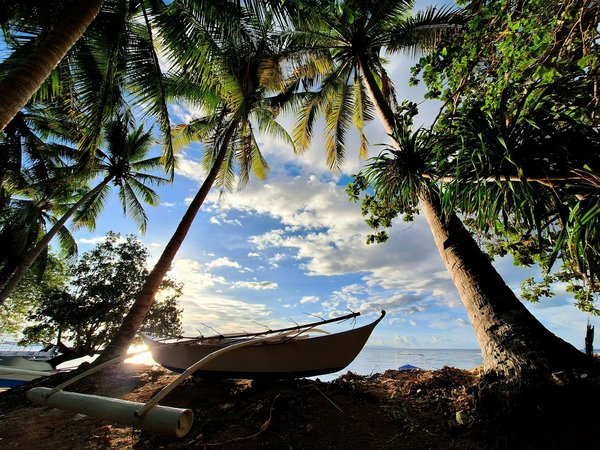 Comment organiser une croisière fluviale sur le Danube, Europe?